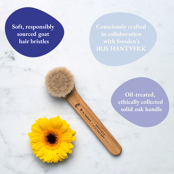 (New Item) Province Apothecary: Daily Glow Facial Dry Brush